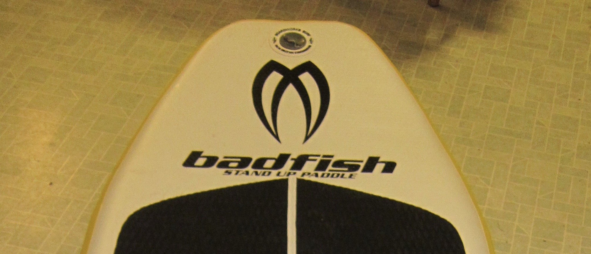 Review: Badfish IRS – The River Surf Lab